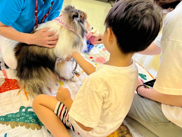 犬とふれあっている様子