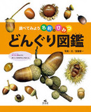 調べてみよう名前のひみつ　どんぐり図鑑（ずかん）表紙