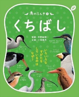 鳥のふしぎ　表紙