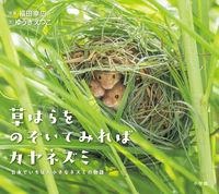 草はらをのぞいてみればカヤネズミ